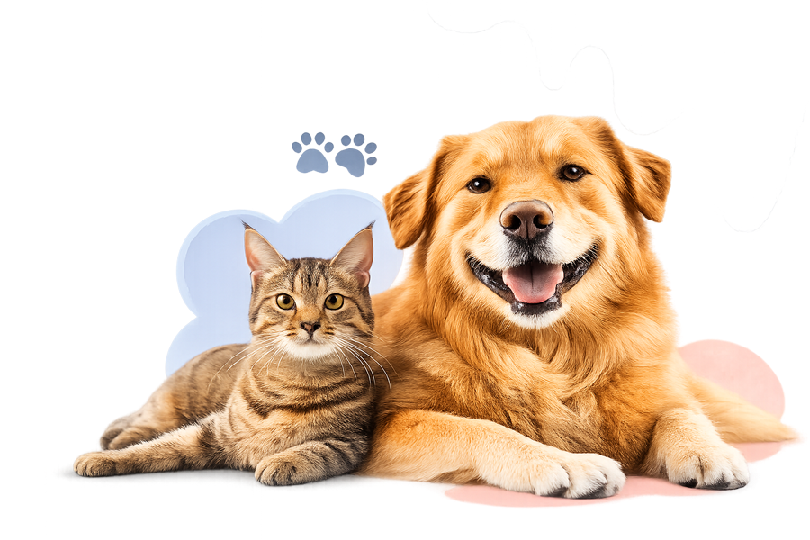 Euro Pet Shop - Thiên Đường Đồ Ăn & Phụ Kiện Dành Cho Chó Mèo