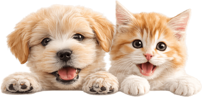 Khuyến mãi đặc biệt