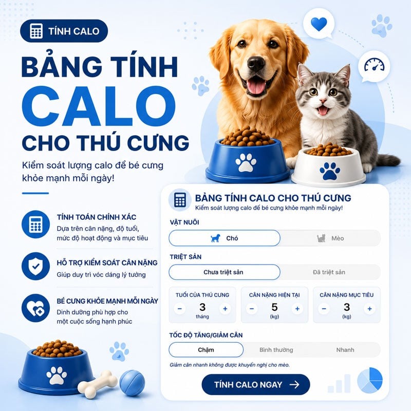 Lý do chọn Euro Pet Shop