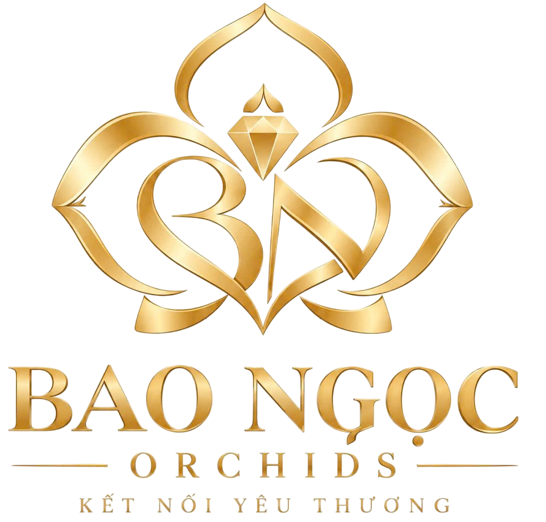 Hoa lan bảo ngọc