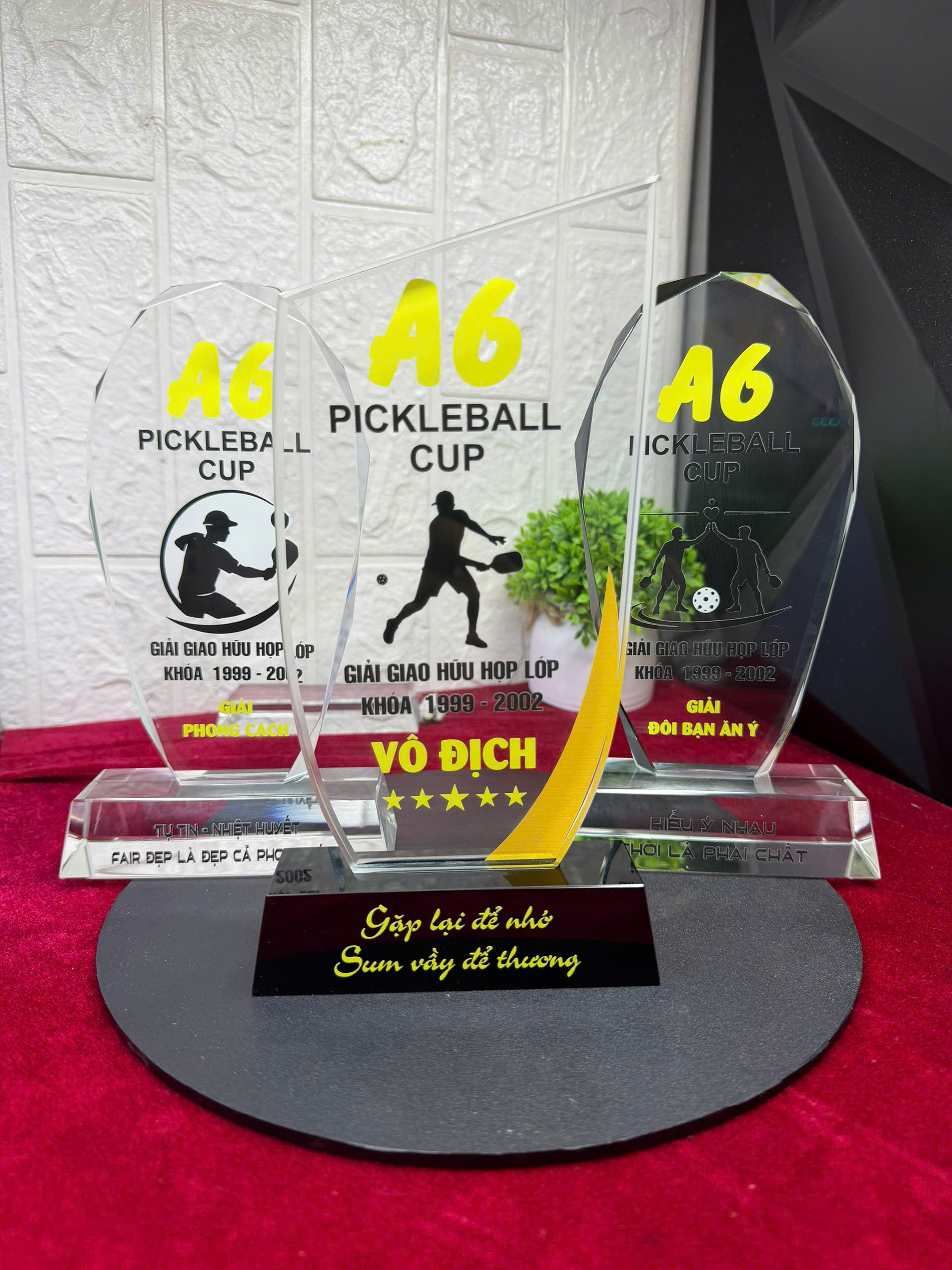 Cúp pickleball nhất nhì ba