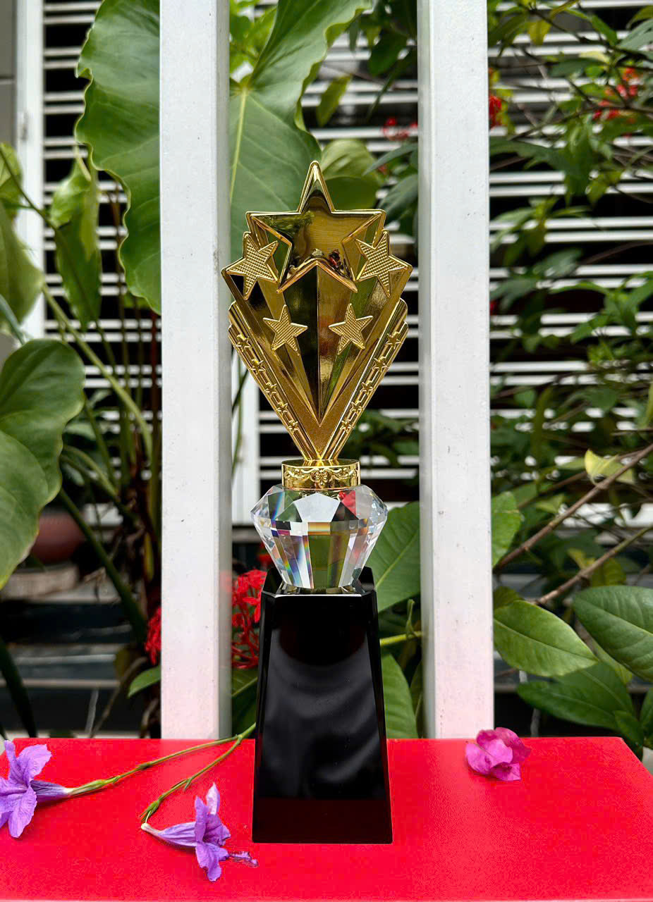 Cúp Kim Loại 19