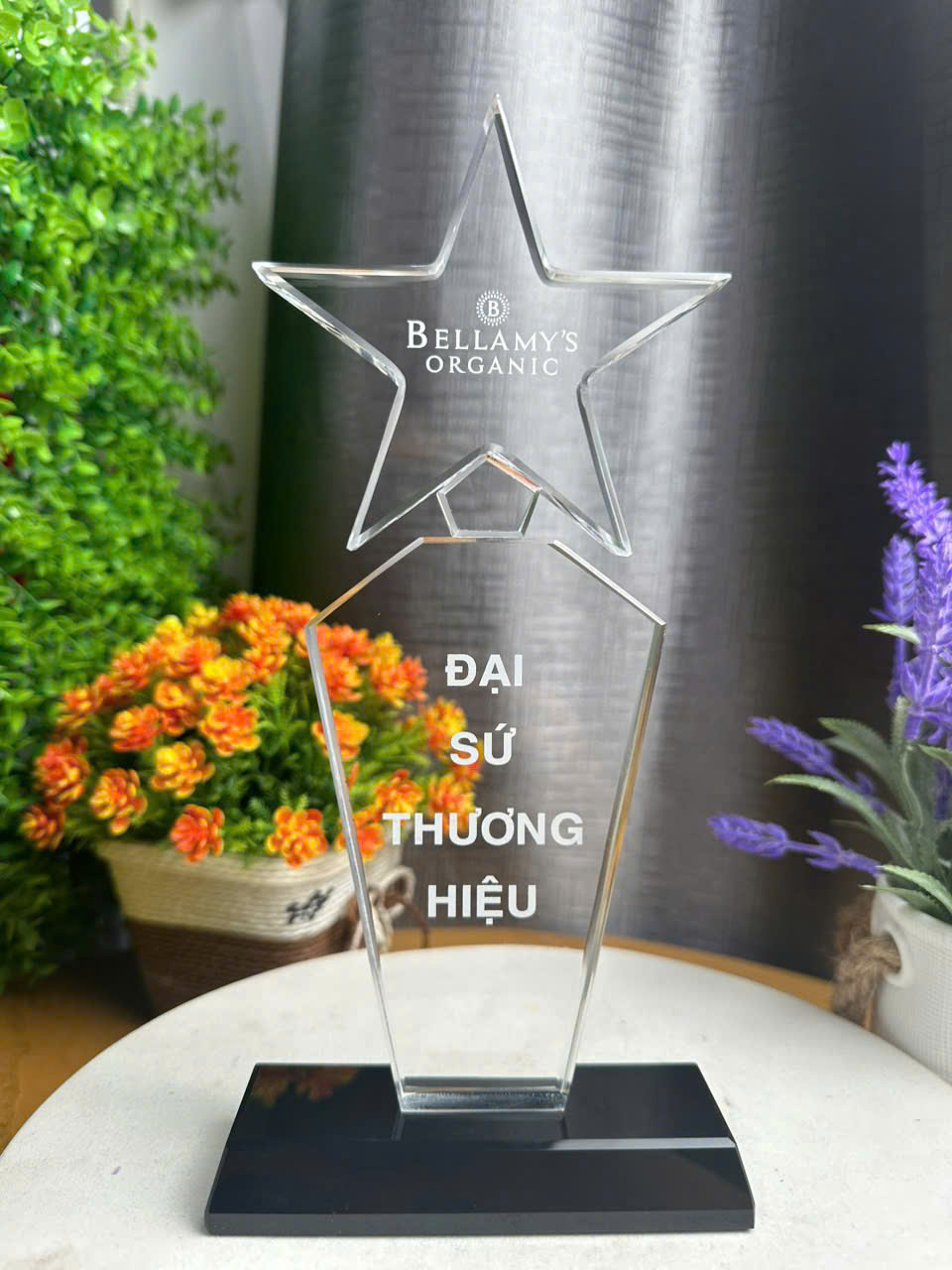 Kỷ niệm chương ngôi sao pha lê
