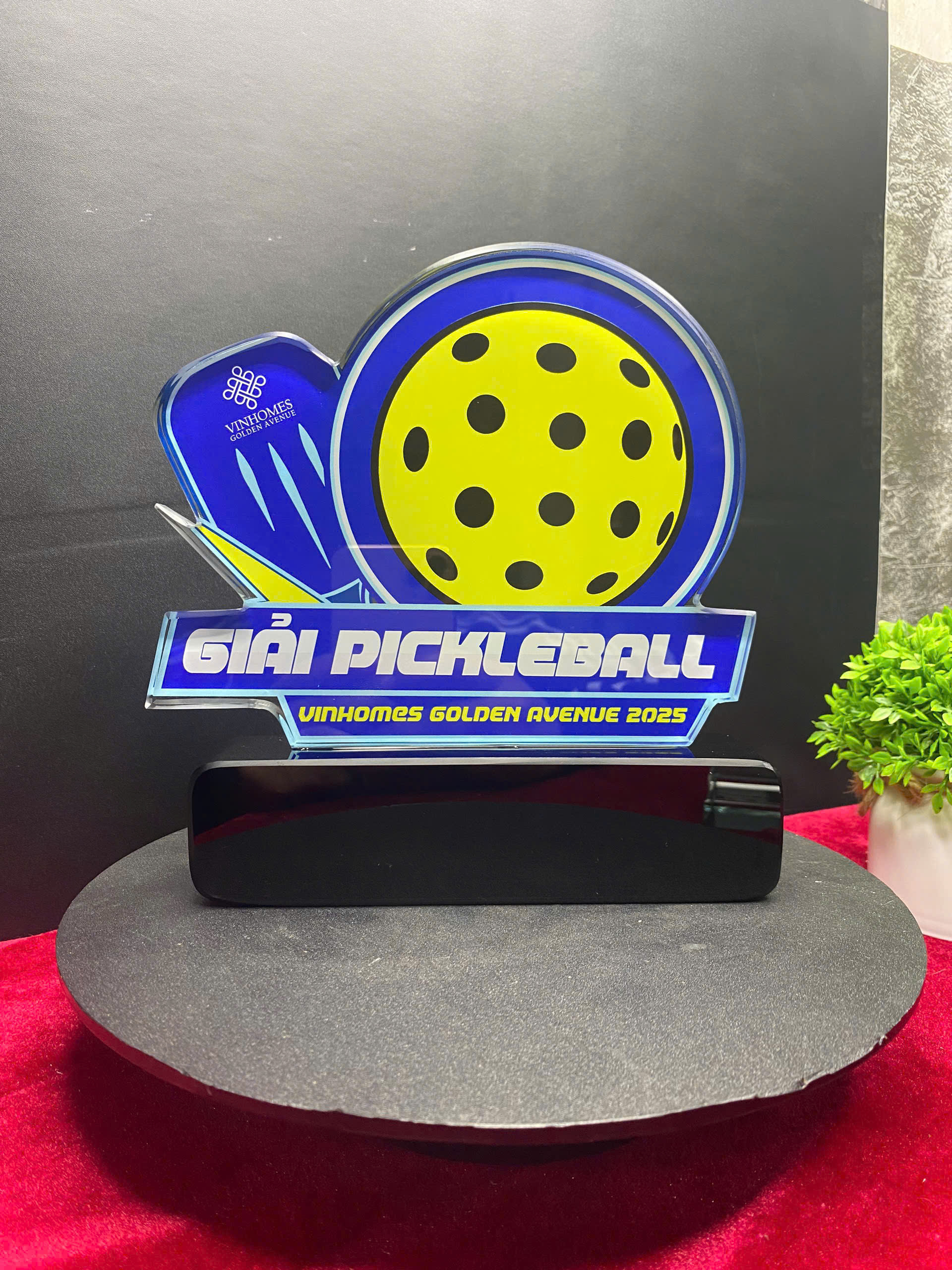 Cúp Pickleball Vinhome