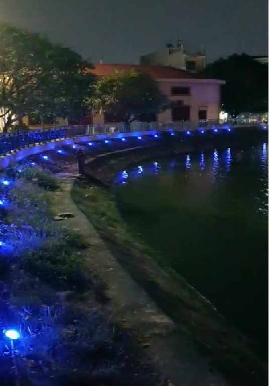 ĐÈN LED TRANG TRÍ ĐÔ THỊ BMC-T2