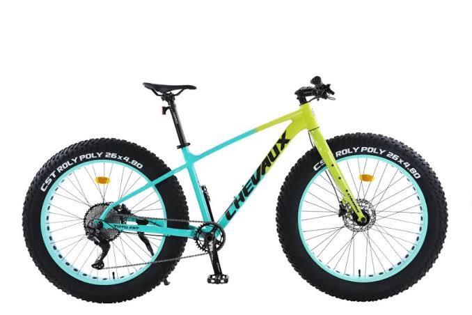 Xe đạp bánh béo CHEVAUX TOTO FAT sườn nhôm