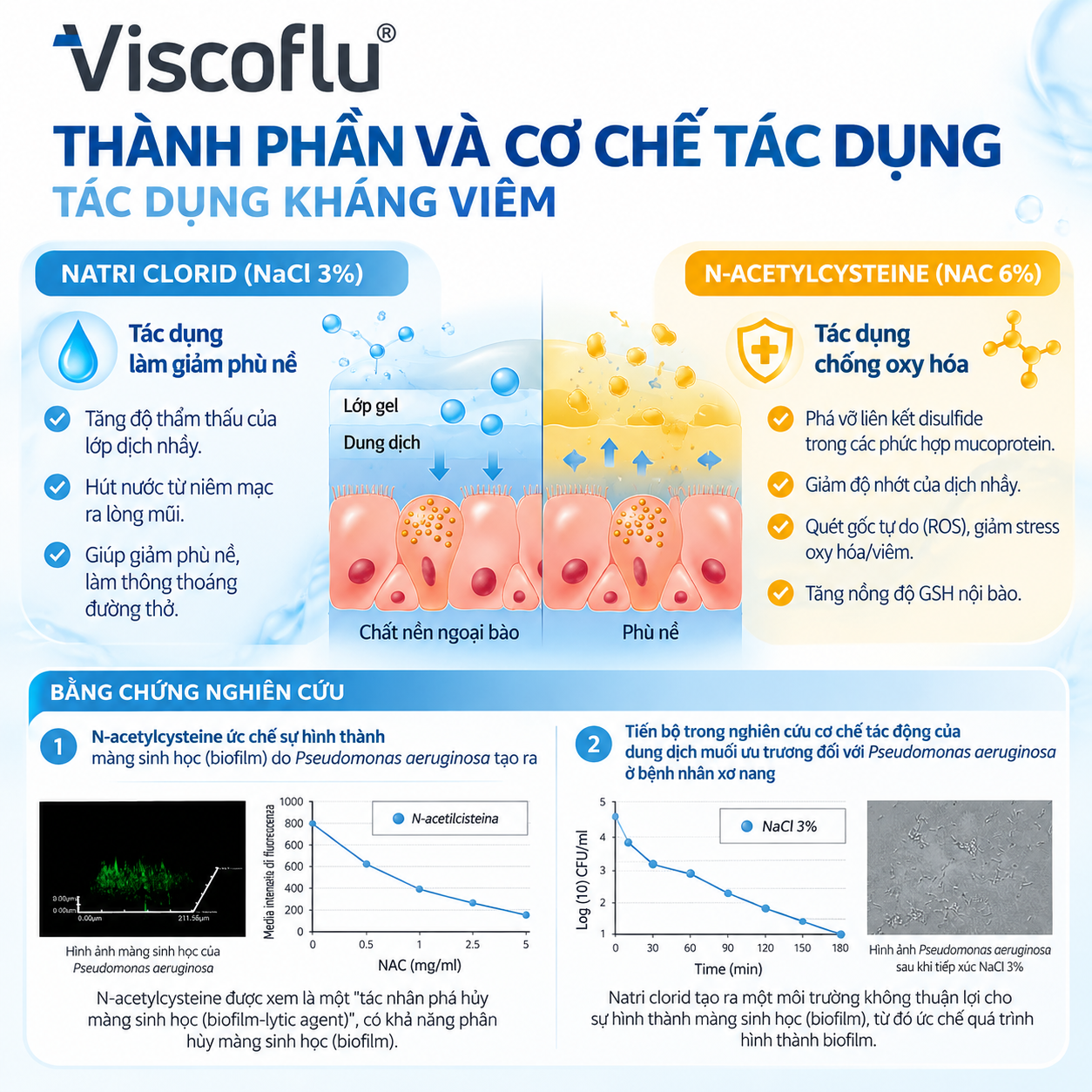 Xịt mũi Viscoflu® Nasal Spray 30 mL – Hỗ trợ làm loãng dịch nhầy, thông thoáng đường mũi
