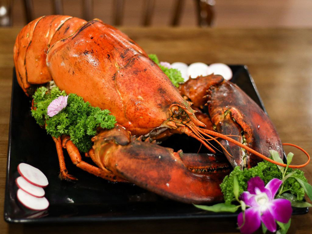 Tôm hùm Nova Scotia Canada: lợI ích dinh dưỡng và cách chế biến