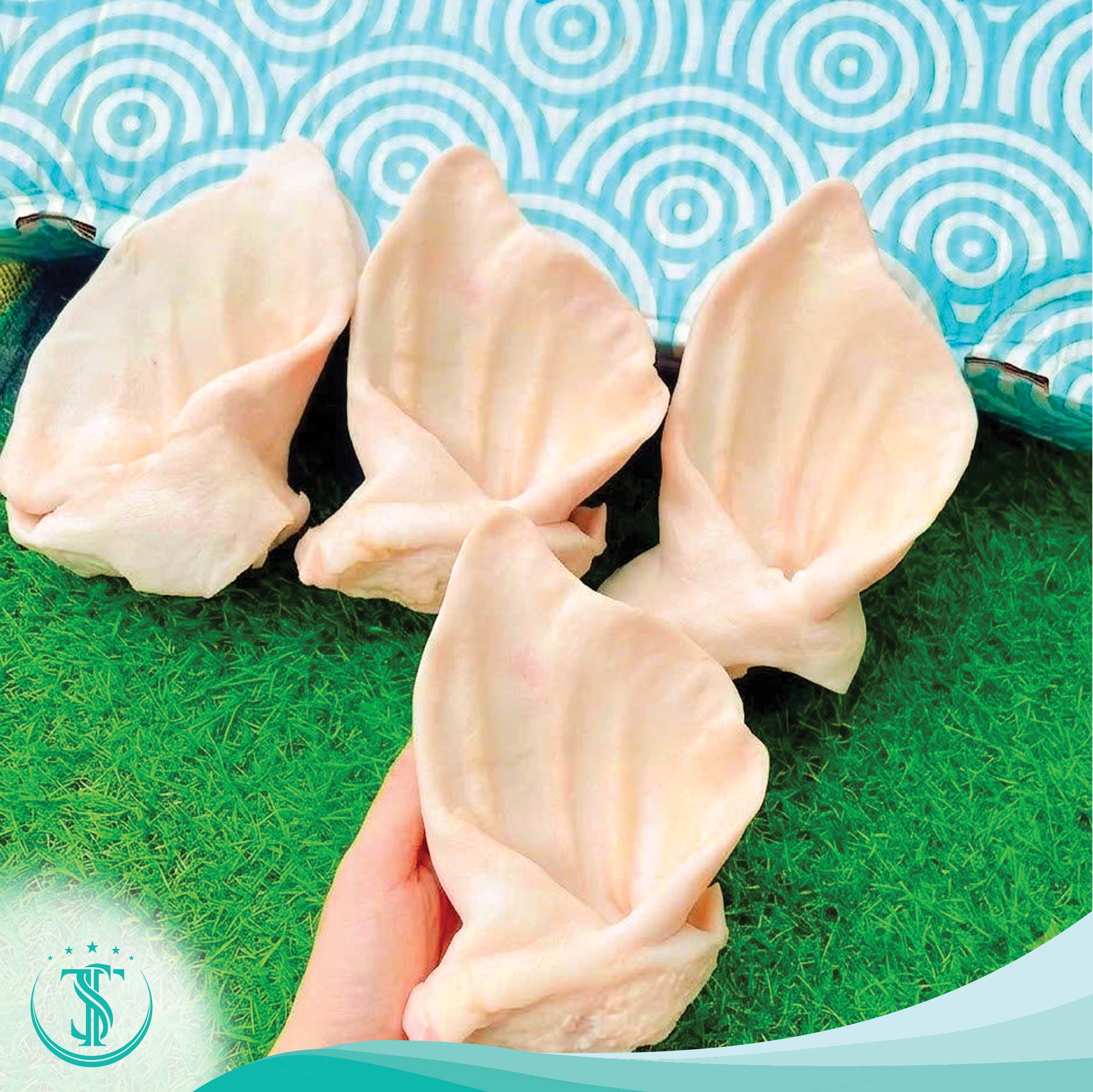 TAI HEO ĐÔNG LẠNH