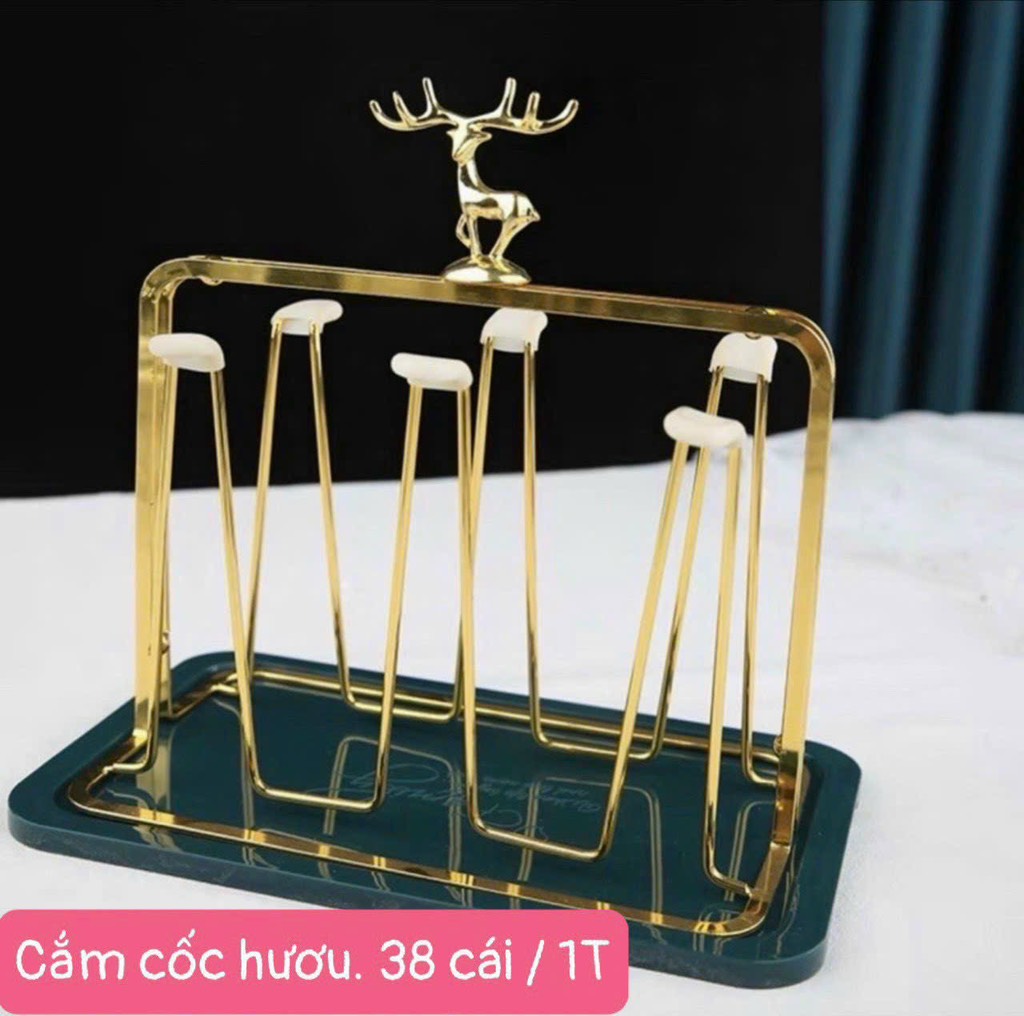 cắm cốc vuông vàng đĩa xanh