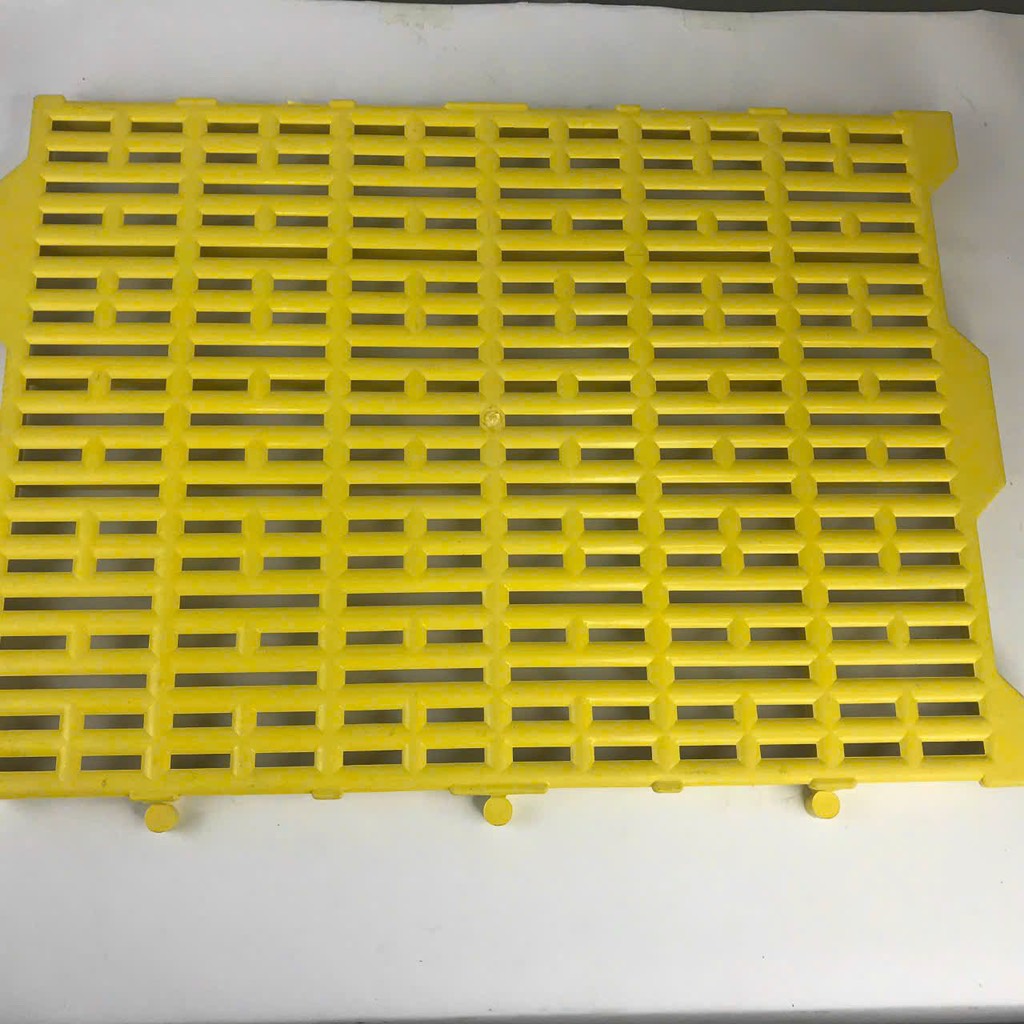 tấm lót sàn heo vàng 55x40