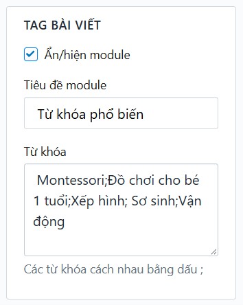 Block Tag bài viết Tùy chỉnh Giao diện