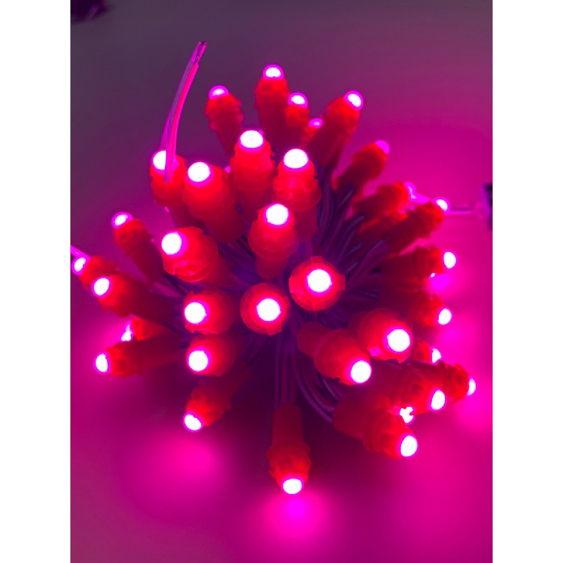 Led đúc F5 12v màu hồng | Led quấn cây | Led trang trí huyhien.vn
