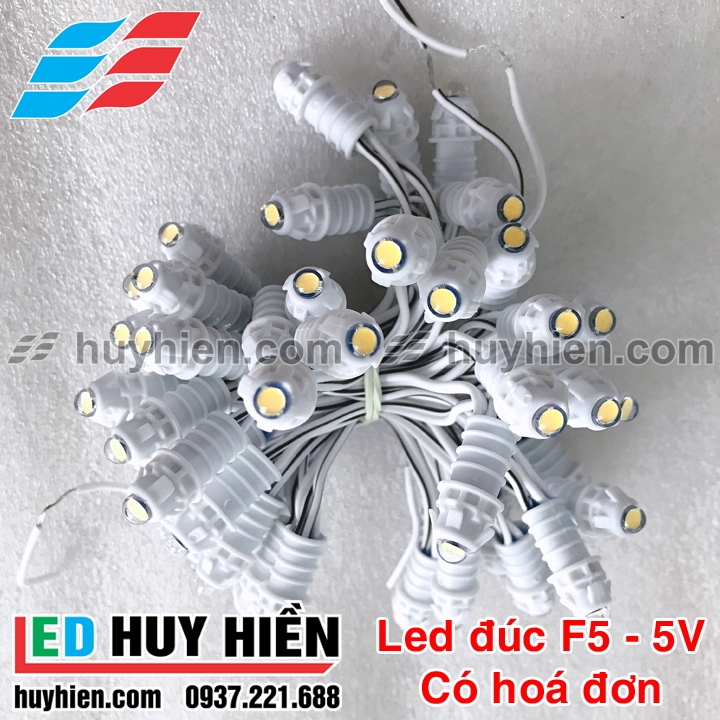 led đúc F5 bọc nhựa 9mm màu trắng ấm, led đúc f5 9mm trắng ấm huyhien.vn