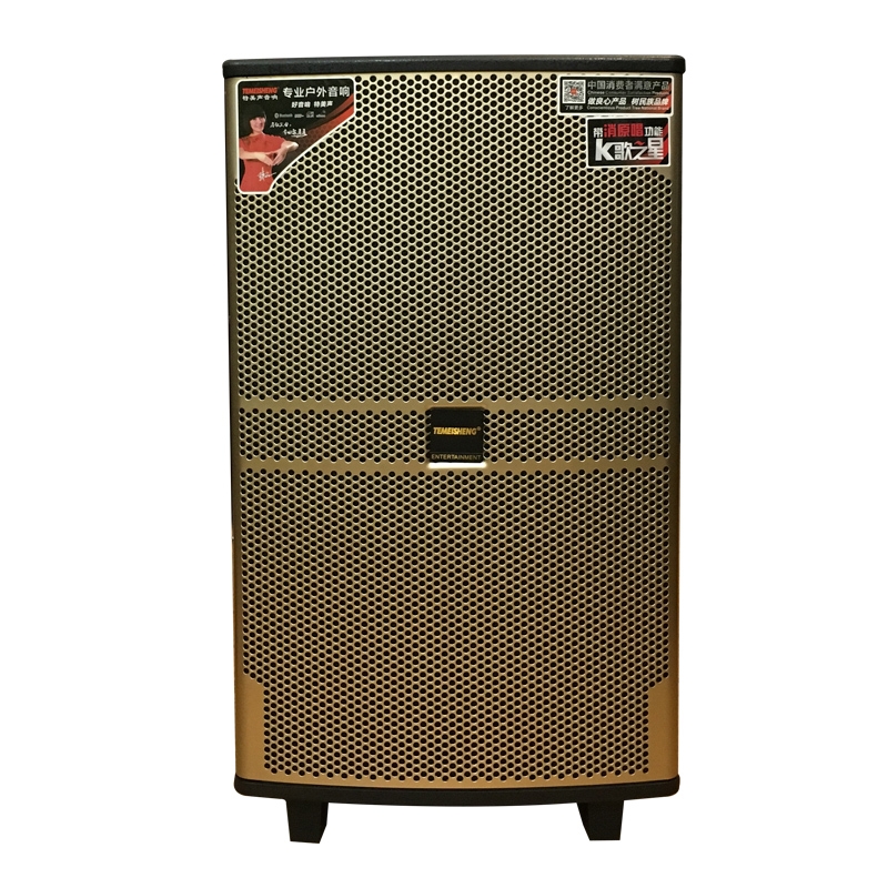 Loa kéo Temeisheng Qx 1520