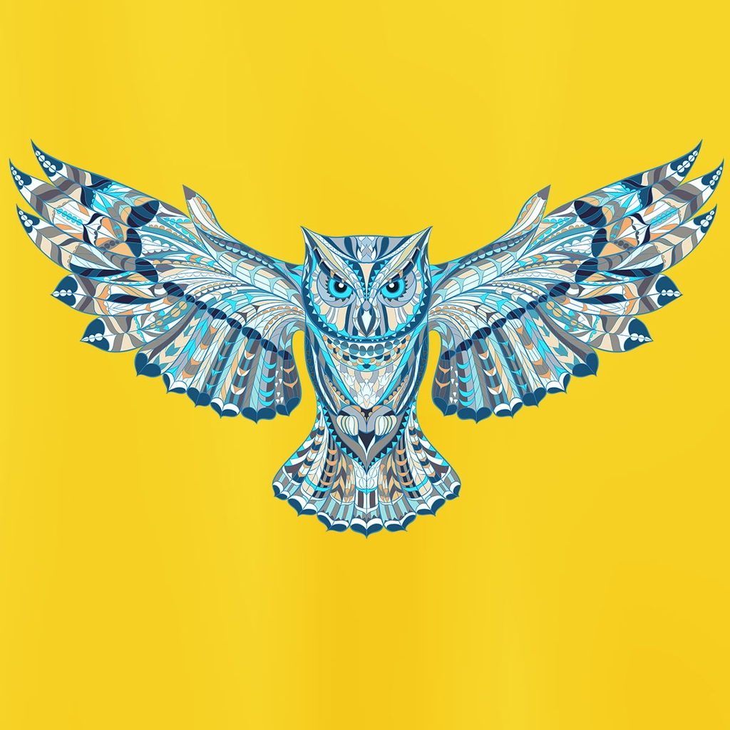 Chim cú nghệ thuật, mã G24. Áo thun trẻ em in hình siêu đẹp. Áo ...