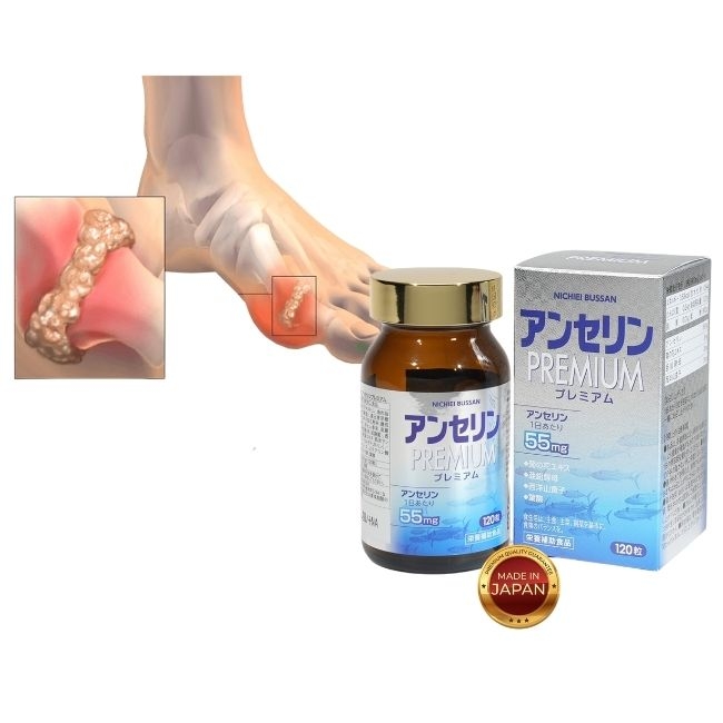 Viên Uống Hỗ Trợ Gút Nichiei Bussan Anserine Premium 120 viên