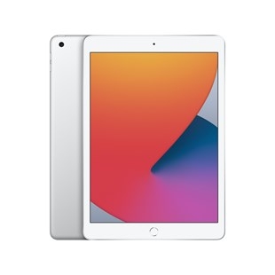 iPad 10.2 inch Gen 8 2020 (WIFI)