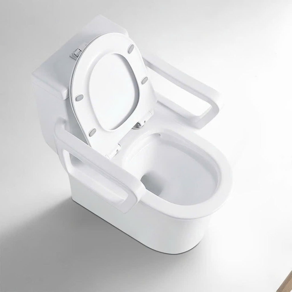 Bồn cầu có tay vịn cho người già, người bệnh và phụ nữ mang thai - BTV699