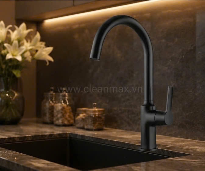 VÒI CHẬU BẾP MÀU ĐEN - VBD1006 CLEANMAX