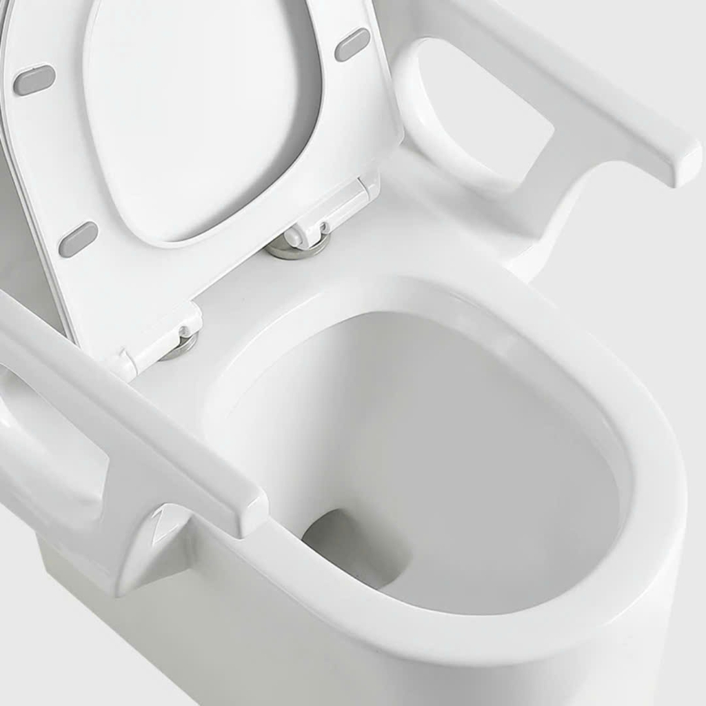 Bồn cầu có tay vịn cho người già, người bệnh và phụ nữ mang thai - BTV699