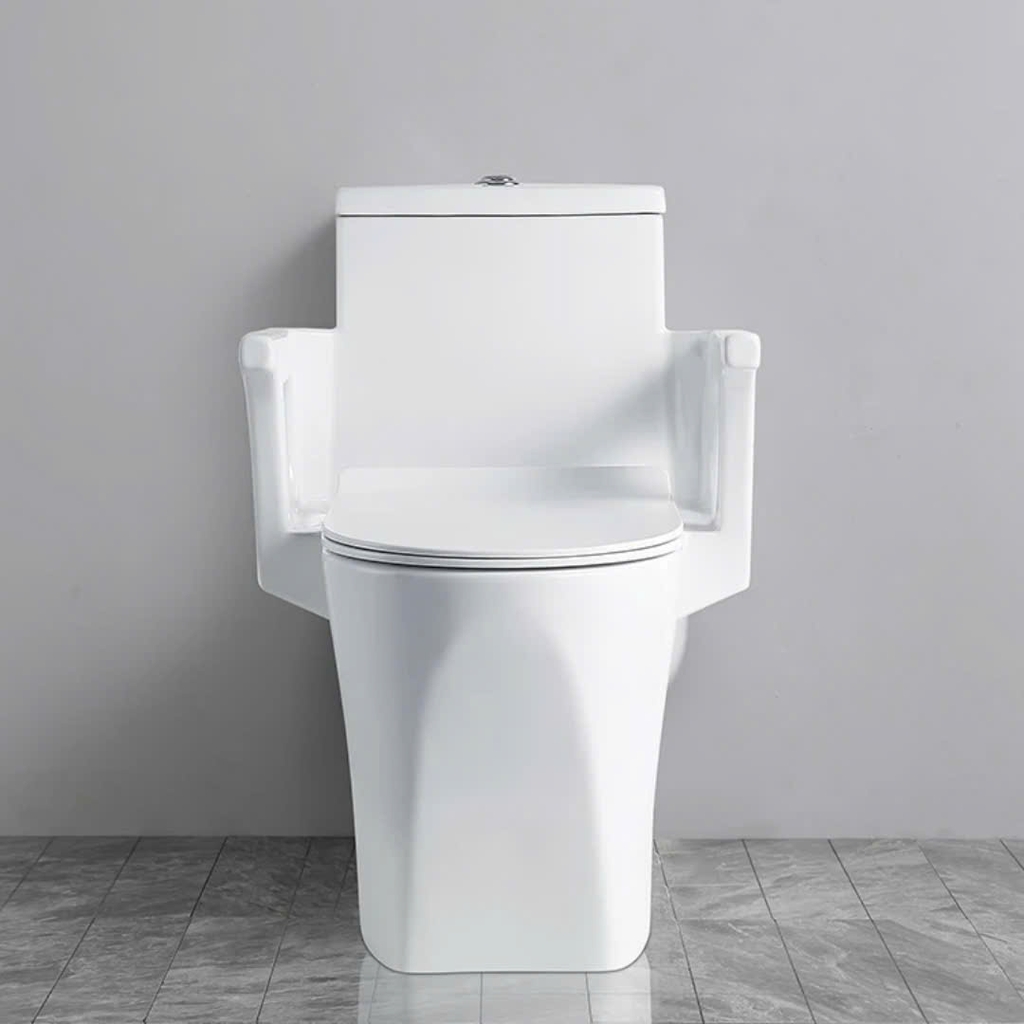 Bồn cầu có tay vịn cho người già, người bệnh và phụ nữ mang thai - BTV699