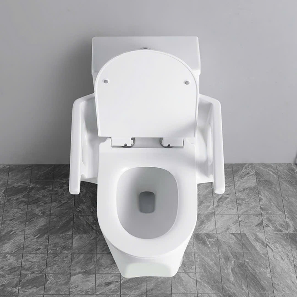 Bồn cầu có tay vịn cho người già, người bệnh và phụ nữ mang thai - BTV699