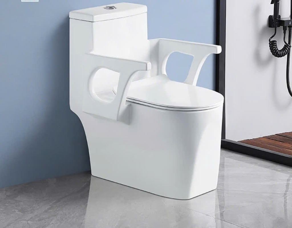 Bồn cầu có tay vịn cho người già, người bệnh và phụ nữ mang thai - BTV699