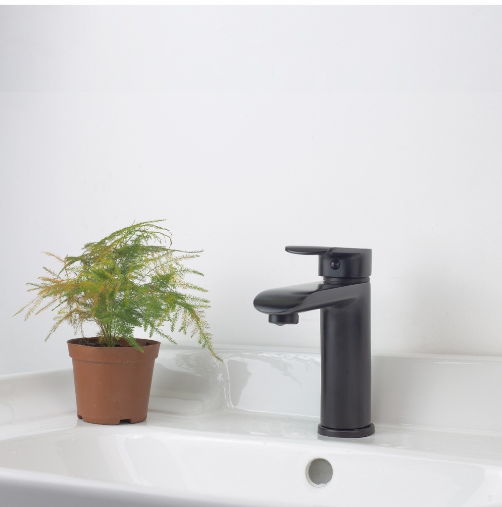 VÒI CHẬU RỬA MÀU ĐEN - RL61128 CLEANMAX