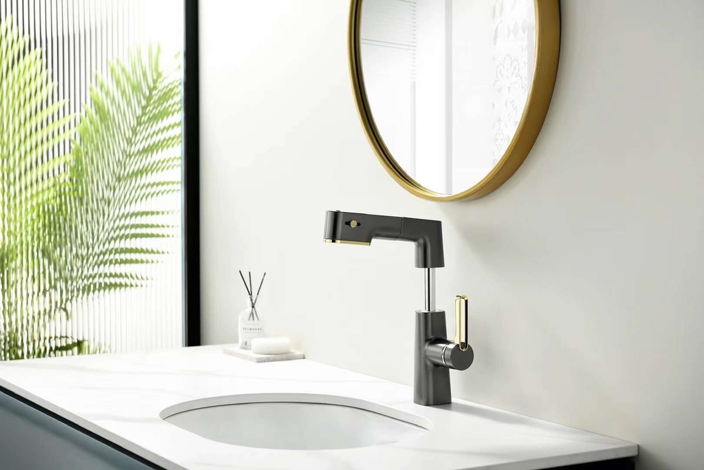 Vòi chậu rửa mặt đa năng - DN5023 CLEANMAX