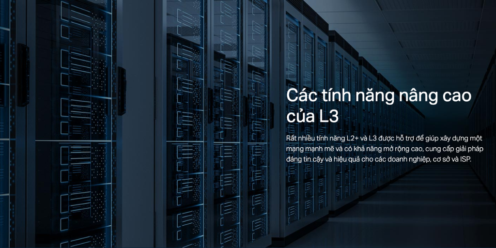 TP-Link TL-SG3428X