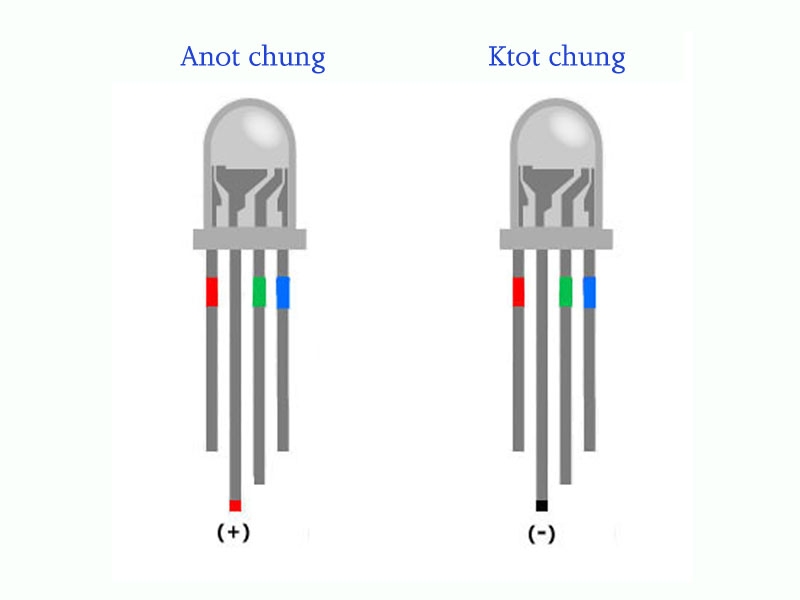 Led đa sắc RGB 5mm chân cắm | Giải Pháp Chung