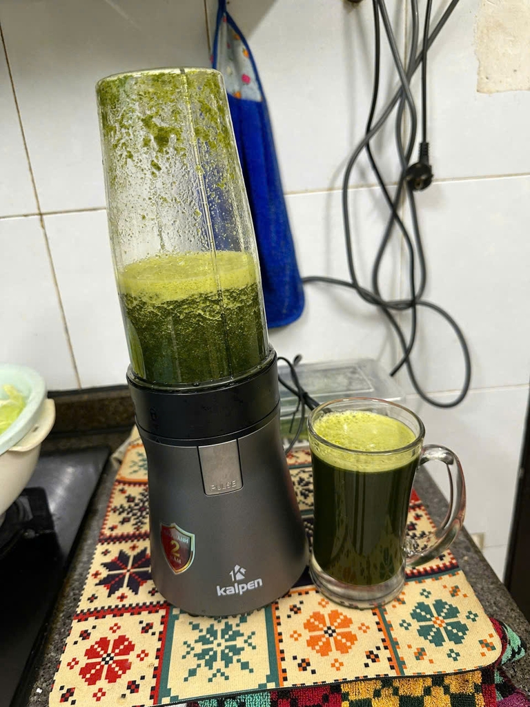 Máy xay đa năng 2 cối Kalpen B10 500W