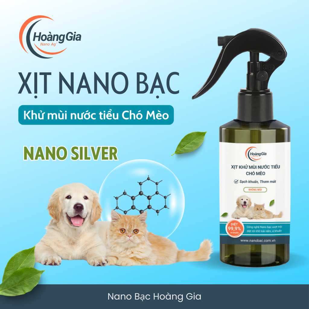 Mùa hè nóng bức – Làm sao để nhà KHÔNG ÁM MÙI nước tiểu chó mèo?