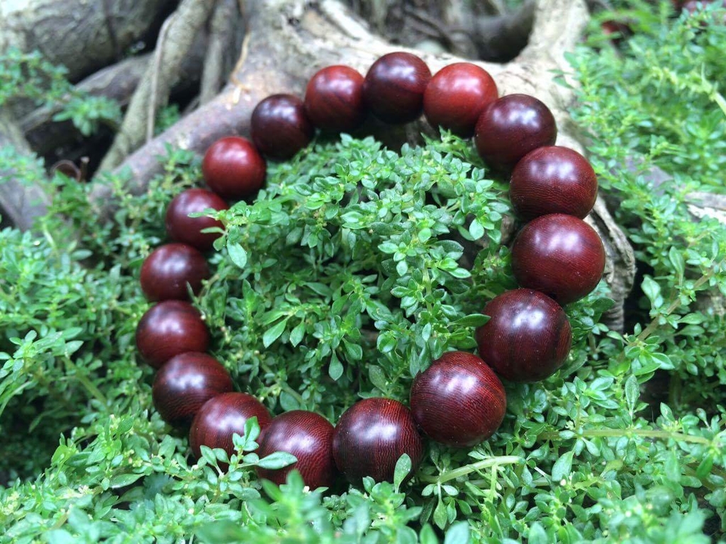 vòng tay gỗ tử đàn lá to 12mm-17 hạt