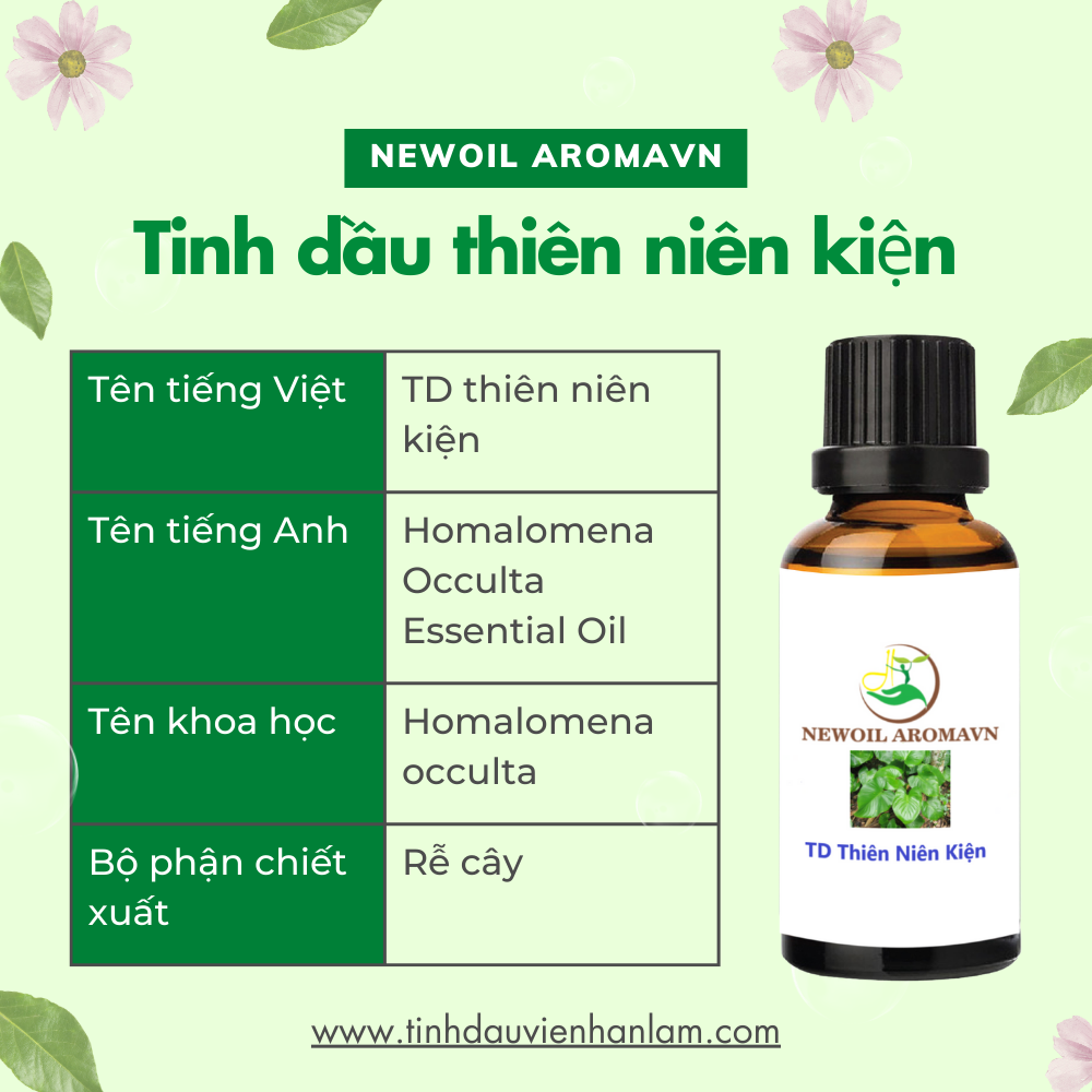 Tinh dầu thiên niên kiện nguyên chất - Homalomena Oil 1 lít