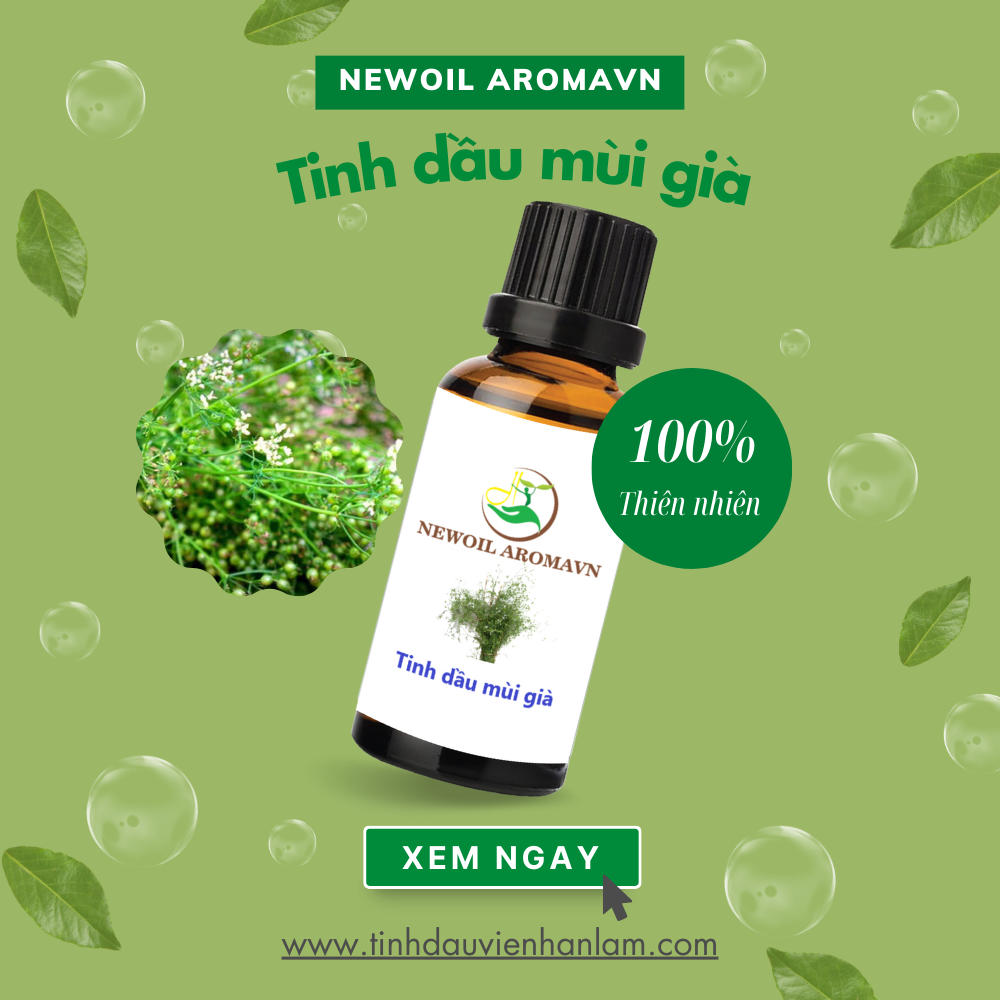 Tinh dầu Mùi Già (ngò rí) nguyên chất - Coriander oil