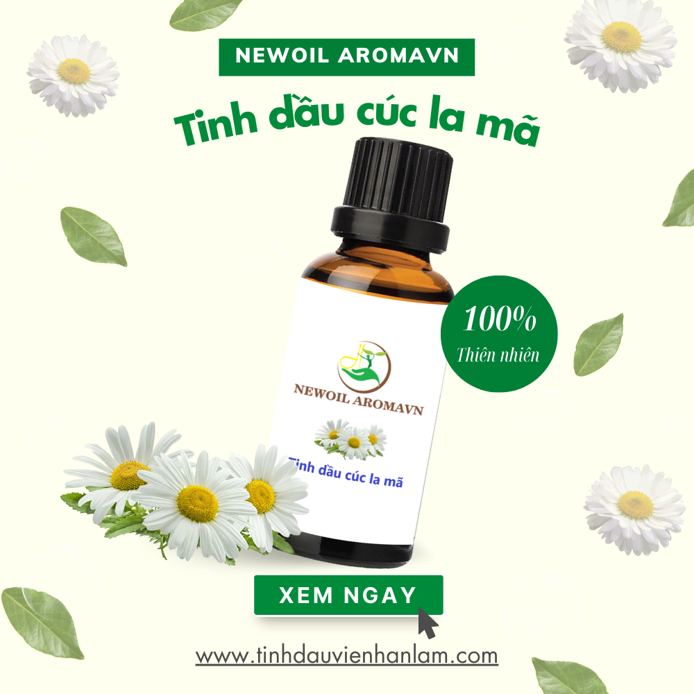 Tinh dầu Cúc La Mã Roman Chamomile Essential Oil