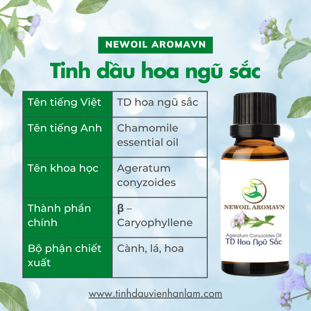 Tinh dầu hoa ngũ sắc nguyên chất  Ageratum Essential Oil