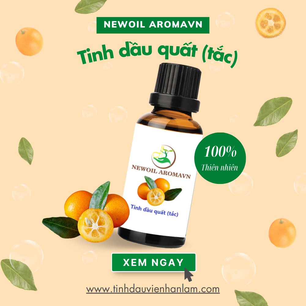 Tinh Dầu Quất (Tắc ) Nguyên Chất Tự Nhiên Kumquat Essential Oil