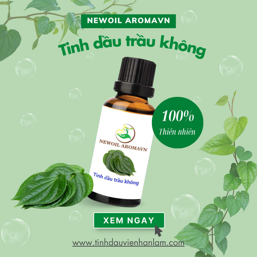 Tinh dầu Trầu không nguyên chất - Piper Betel Leaf Oil