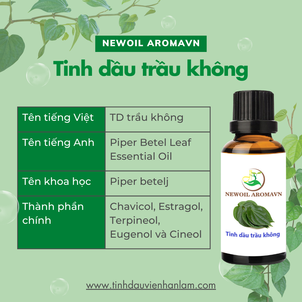 Tinh dầu Trầu không nguyên chất - Piper Betel Leaf Oil