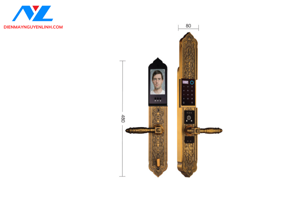 Khóa cửa chính và đại sảnh Demax EL9862 GB APP Wifi