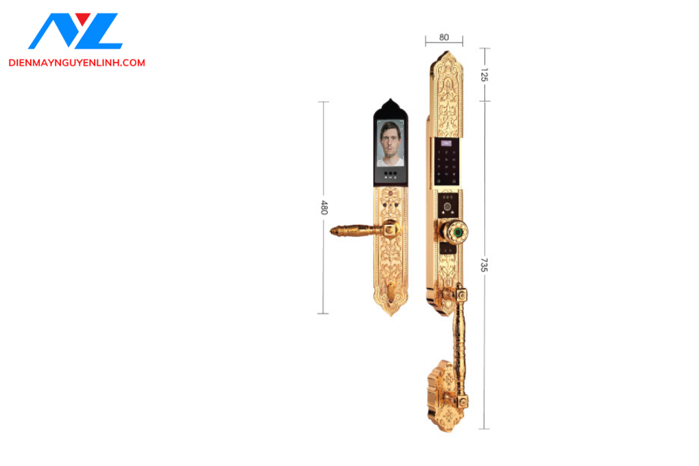 Khóa cửa chính và đại sảnh Demax EL938 Gold APP Wifi