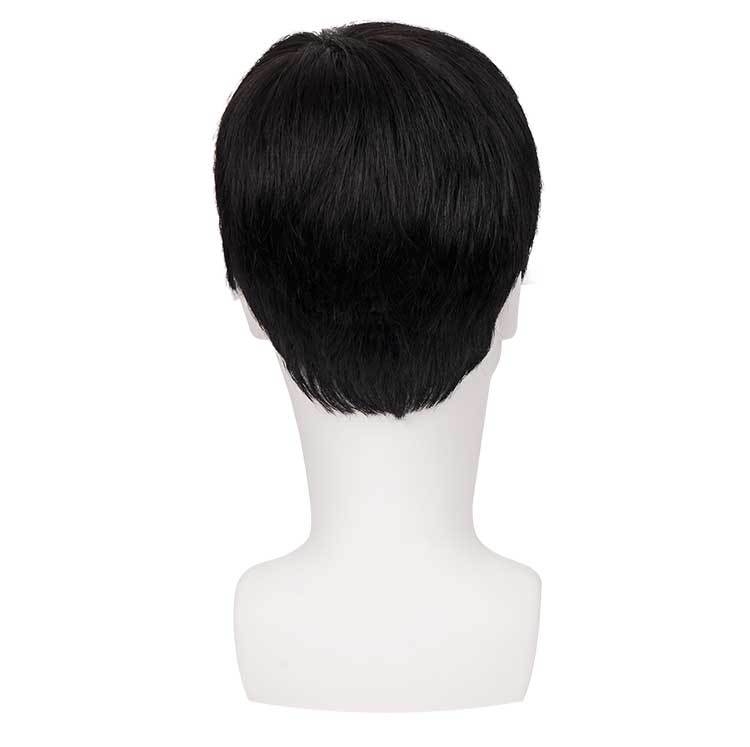 Tóc Giả Nam Nguyên Đầu - Kiểu Đơn Giản Bằng Tóc Thật | Wina Wigs