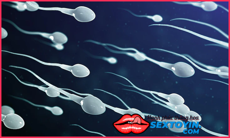 Nếu bạn muốn có chất lượng tinh trùng khỏe mạnh thì làm theo những cách sau đây