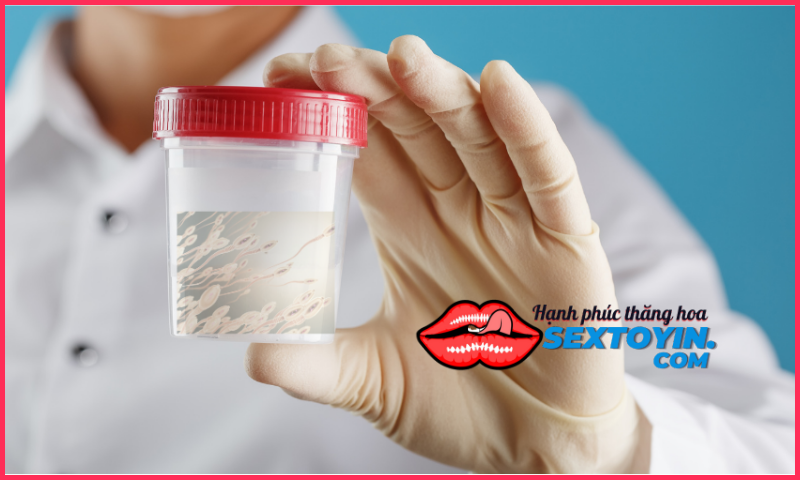 Tinh trùng khỏe mạnh nhất là thời điểm nào trong ngày??