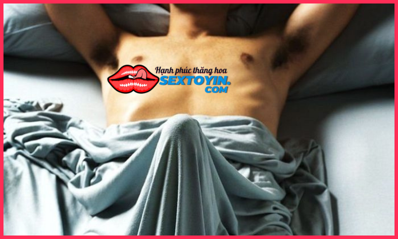 Cấu tạo bộ phận sinh dục nam và cơ chế hoạt động