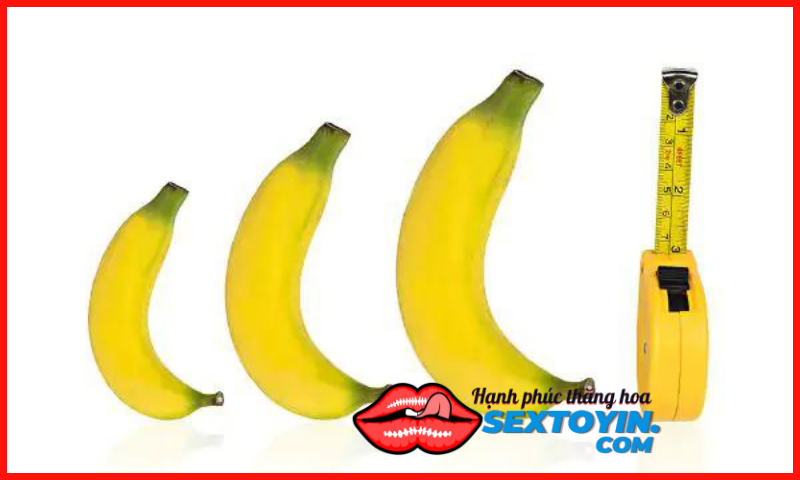 Teo dương vật là gì? nguyên nhân và cách khắc phục dương vật bị teo