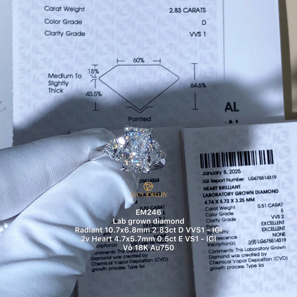 EM246 - Nhẫn cầu hôn, radiant & heart cut - Lucy Jewelry
